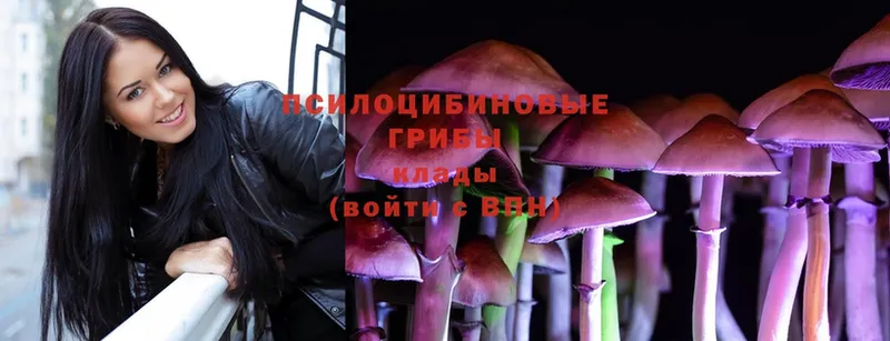 Галлюциногенные грибы Cubensis  Шадринск 